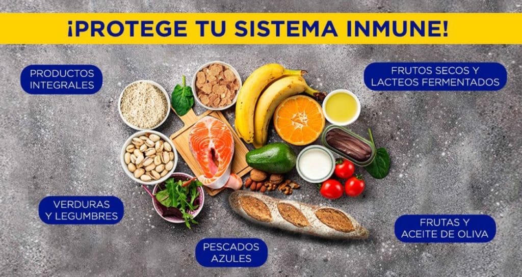Alimentos que fortalecen el sistema inmunológico - Fit Soul