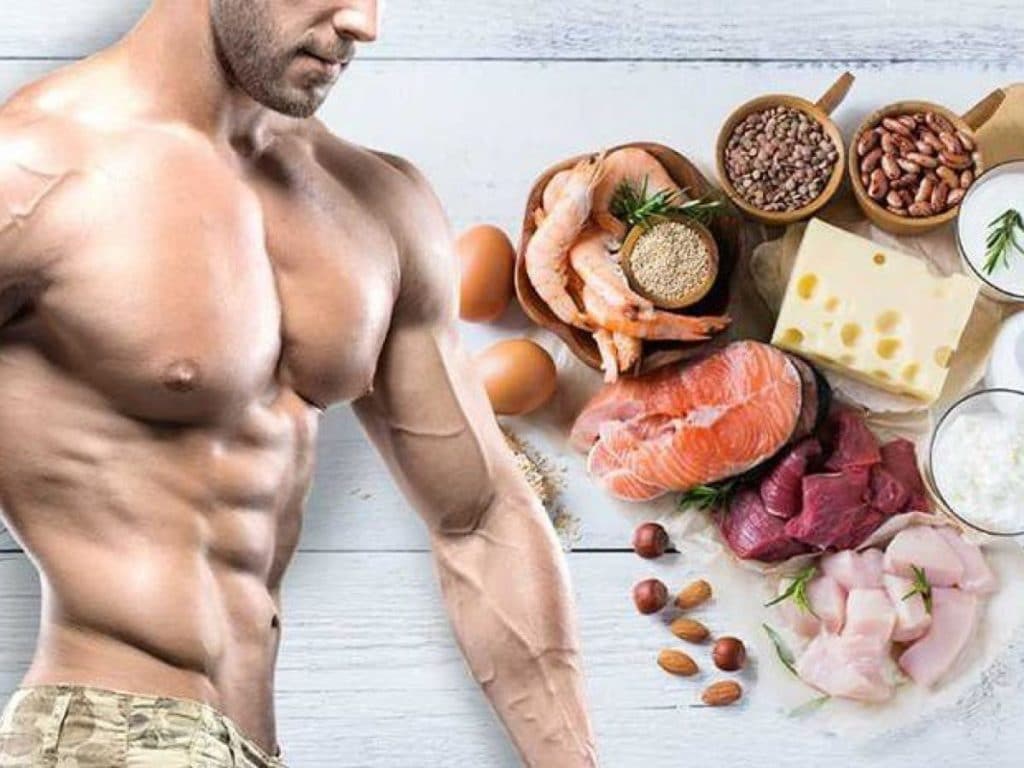 ¿Qué alimentos debo comer para ganar masa muscular? - Fit Soul